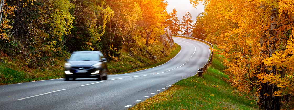 article-hero-fall-driving-hazards article-hero-fall-driving-hazards