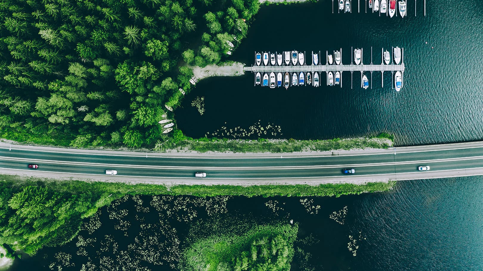 aerial-view-of-road-with-cars-between-green-forest aerial-view-of-road-with-cars-between-green-forest