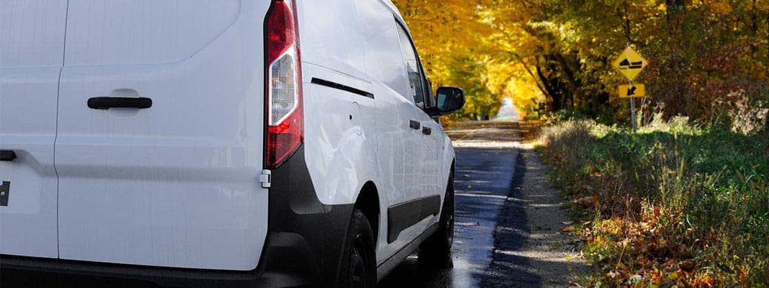 article-hero-white-van-leaves-min article-hero-white-van-leaves-min