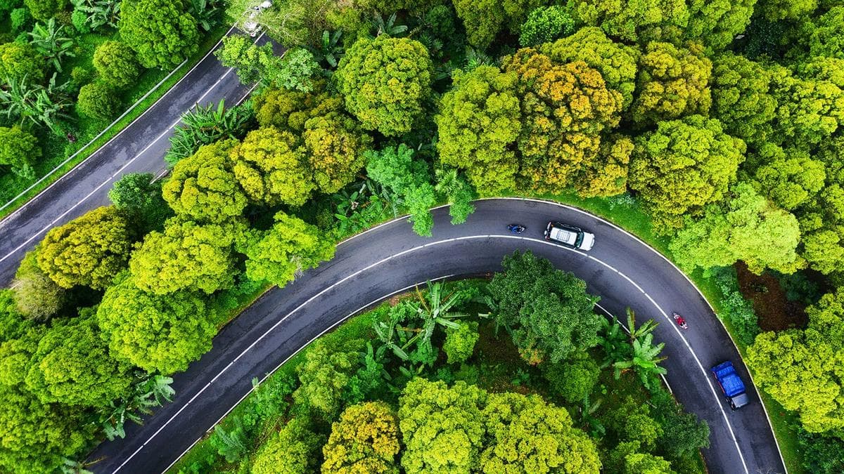 Winding road through dense green forest viewed from above. Winding road through dense green forest viewed from above.