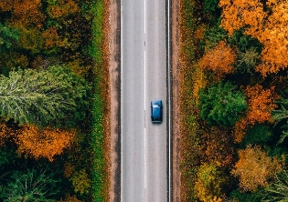 Car driving on road lined with orange colored trees