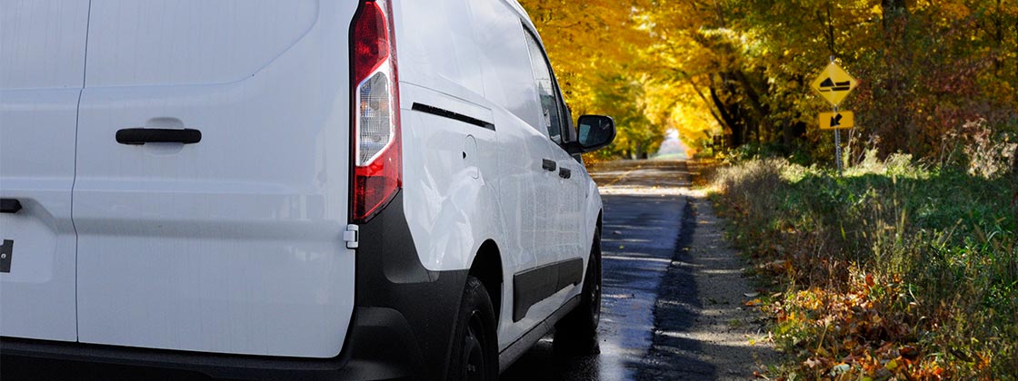 White work van with orange leaves