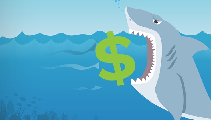 illustration of shark chomping at money