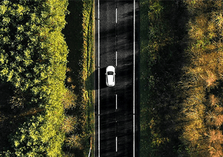 Car traveling down a tree-lined road