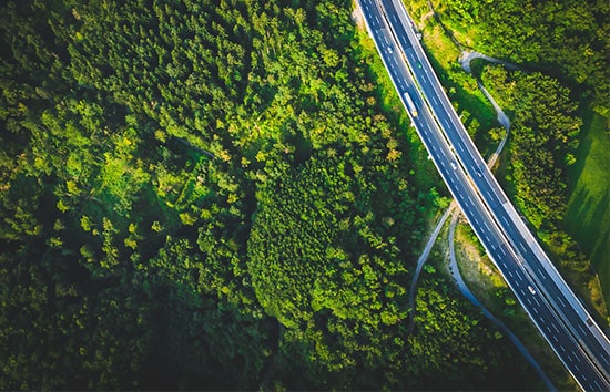 Green trees with road as seen from above
