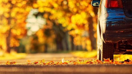 Vehicle driving in fall